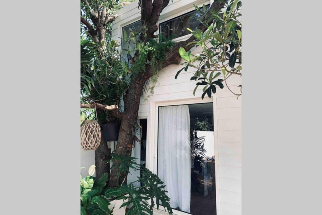 La Caze Amoremieve Pour Un Sejour Cozy A St Pierre سانت بيير المظهر الخارجي الصورة